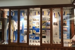2020-Constitution-Week-library6