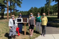 Little-Free-Library-board